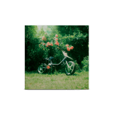 POISON - DOUBLE VINYLE