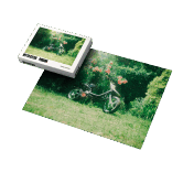 POISON - PACK PUZZLE