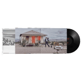 WHAT'S THE CURE?<br/>VINYLE