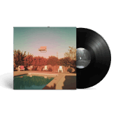 AT THE PARTY - VINYLE